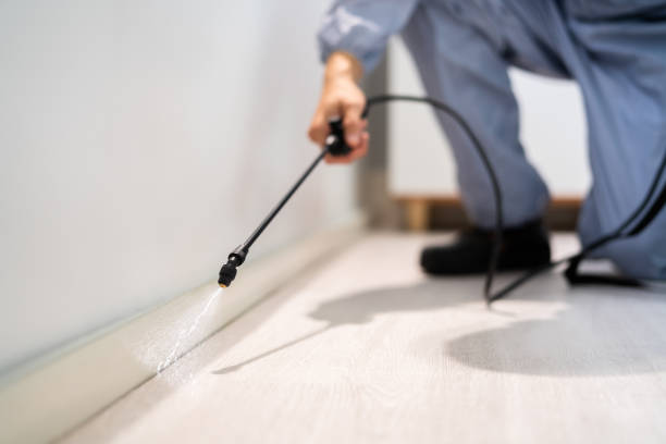 Licensed Termite Control service in Hahnville, LA - Nex Pest Control