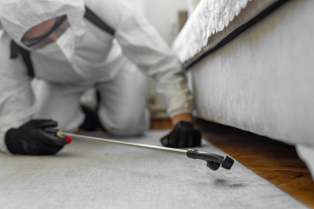 Professional Termite Control technician working in Hahnville, LA