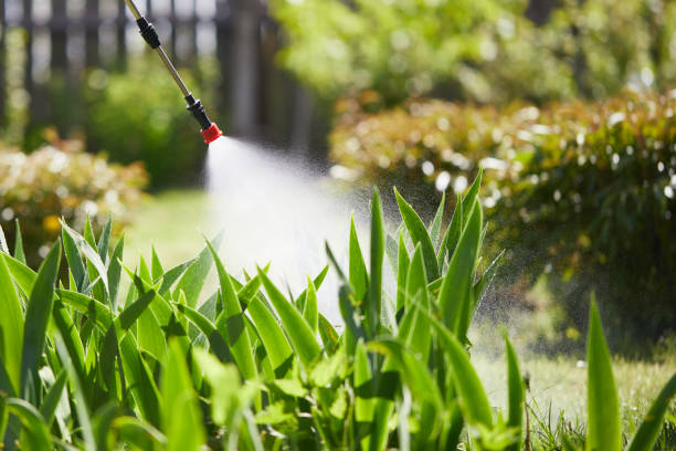 24/7 Emergency Termite Control experts in Hahnville, LA