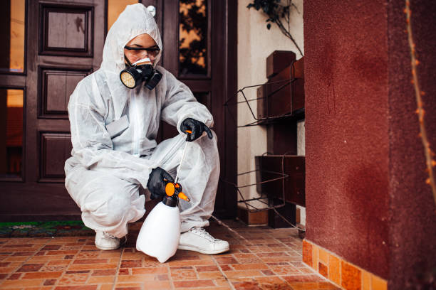 Reliable Termite Control contractor in Hahnville, LA by Nex Pest Control