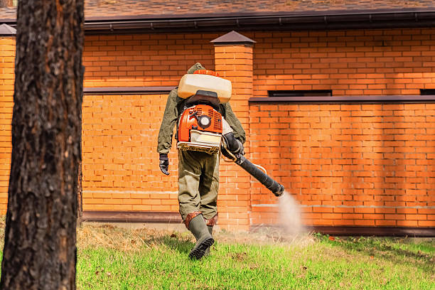 Top rated local Termite Control specialists in Hahnville, LA